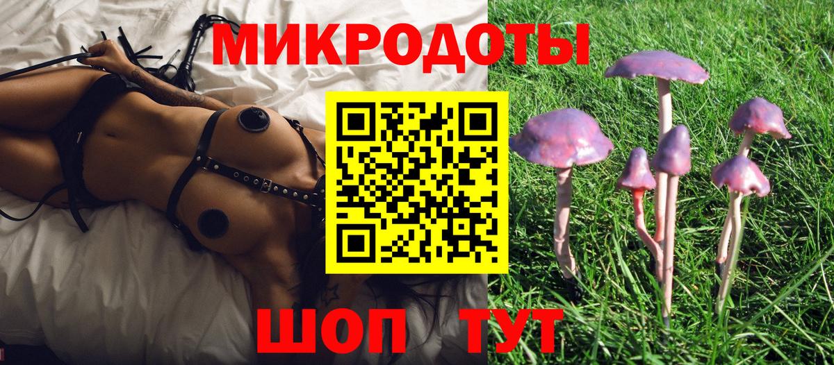 Галлюциногенные грибы GOLDEN TEACHER  Вход с VPN  Гай 