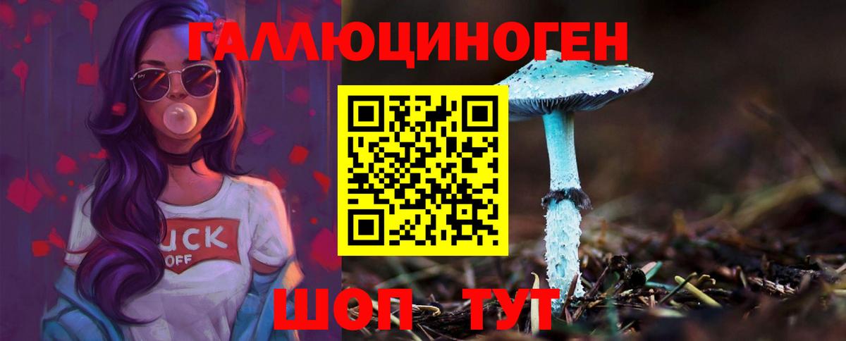 Галлюциногенные грибы Psilocybine cubensis Гай